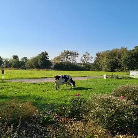 Ferienwohnung Sonnenaufgangsgenuss Harriersand Schwanewede Buitenkant foto
